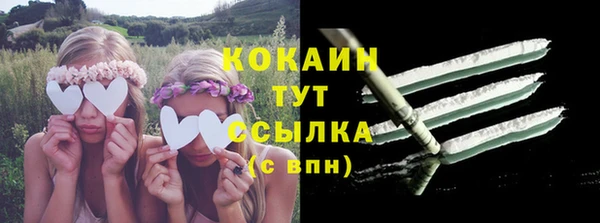 гидра Няндома