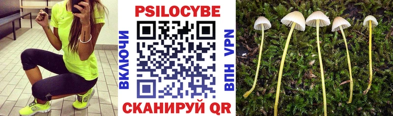 Псилоцибиновые грибы прущие грибы  Зарайск 